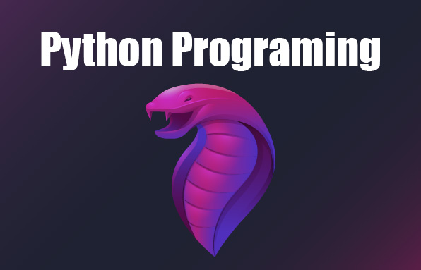 Python Programming Course